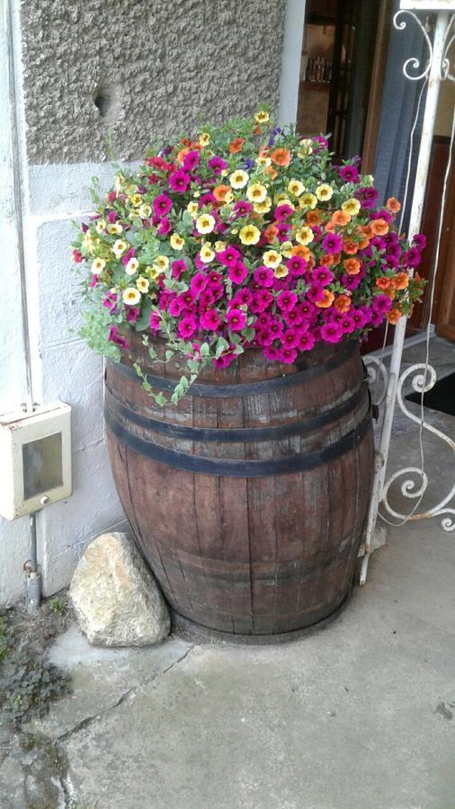 Auberge Du Relais D'Auniac Gourdon-en-quercy Dış mekan fotoğraf
